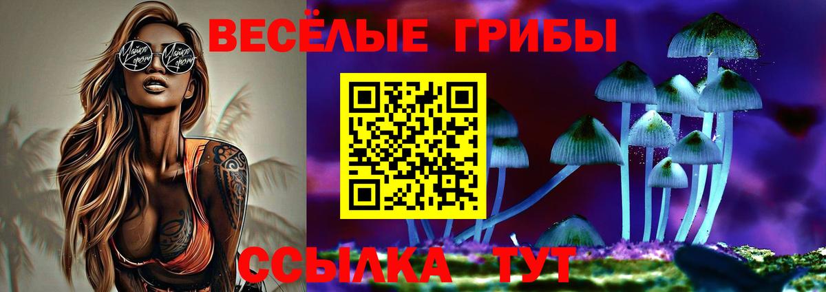 Качканар  Галлюциногенные грибы Cubensis  Вход с VPN  Псилоцибиновые грибы прущие грибы 
