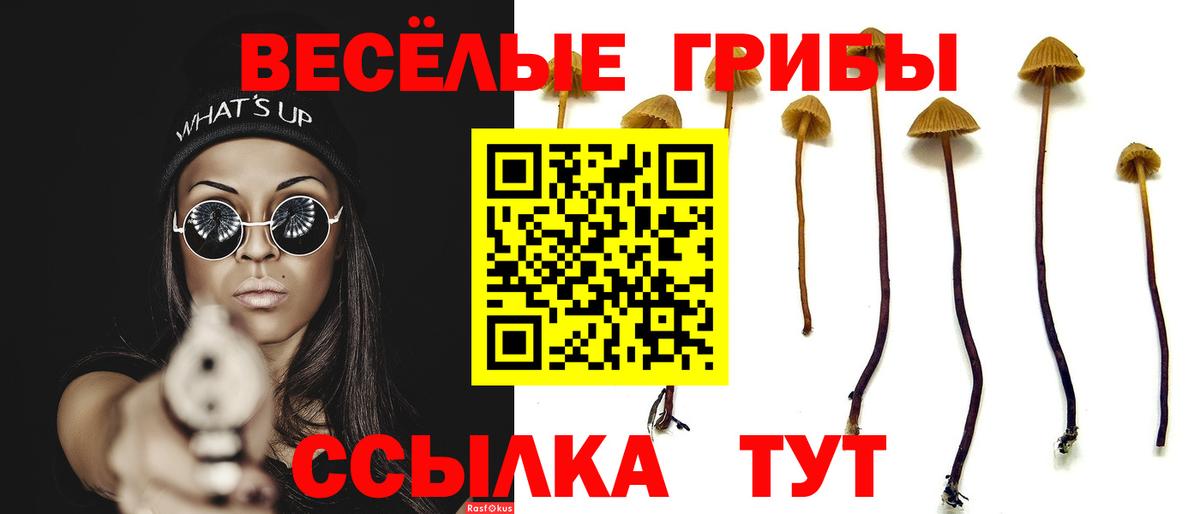 Псилоцибиновые грибы Cubensis Качканар